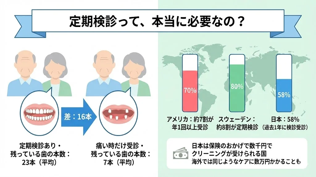 定期検診の有無で80歳時に残る歯の本数が平均23本と7本に分かれることや、日本・アメリカ・スウェーデンの定期検診受診率を比較した予防歯科の説明図|取手市藤代の坂寄歯科医院