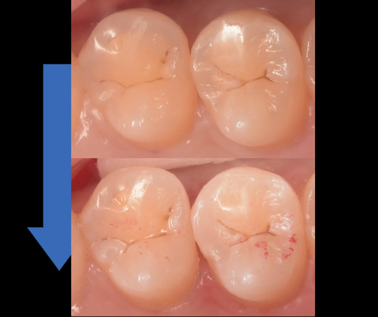 神奈川からお越しの歯科医師の方｜坂寄歯科医院（取手市藤代） - 画像4